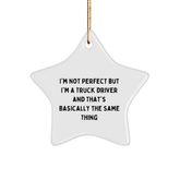 Funny Truck Driver Gifts from Friends for Christmas - Star Ornament - Image 1